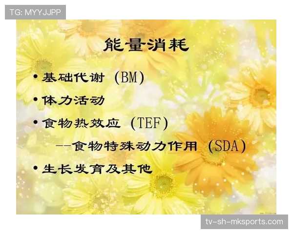 运动员营养补给中的时机把握与能量代谢调控